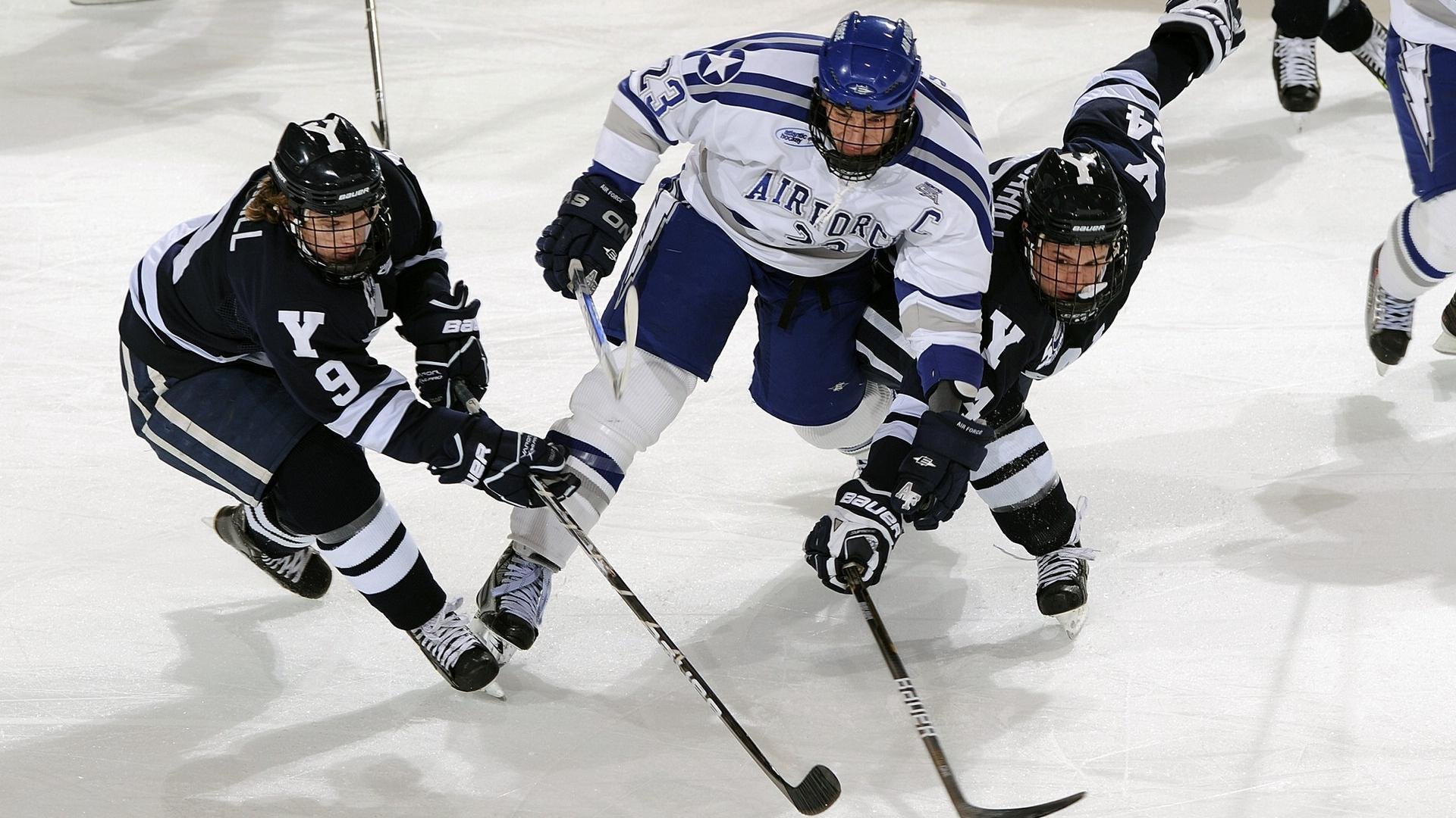 体育新闻中心主办体育类数字创作者发展研讨会,体育产业数字化创新