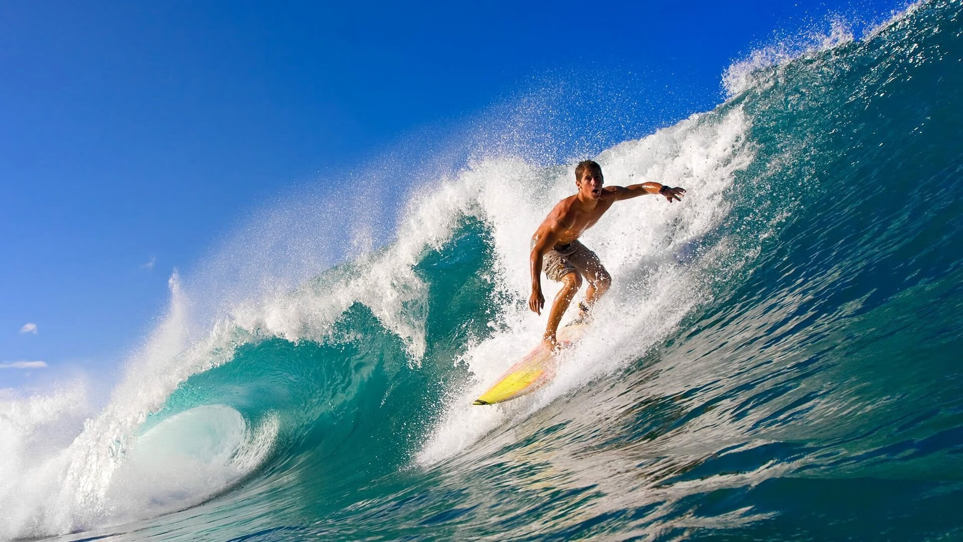 体育新闻中心主办体育类数字创作者发展研讨会,体育产业数字化创新