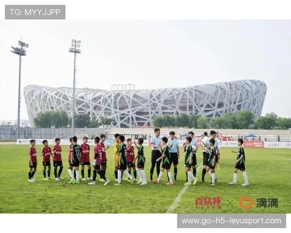 技术方现身幕后：一套优化方案，托起鸟巢万人对决