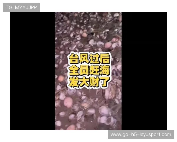台风后赶海需谨慎，惠州提醒市民安全第一，台风过后海滩上有没有海鲜